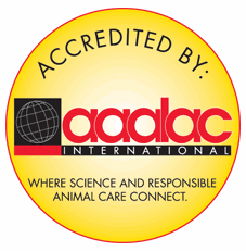 AAALAC Accreditation Logo 