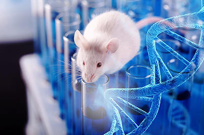 Mouse on test tubes with DNA strand 