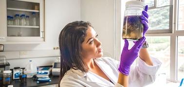 Student checking bio research.